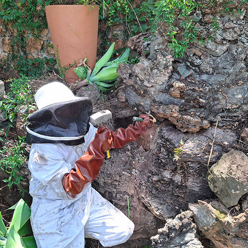 Bee Removal Artificial Rock