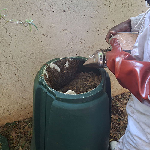 Bee Removal Compost Bin