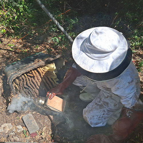 Bee Removal Water Meter